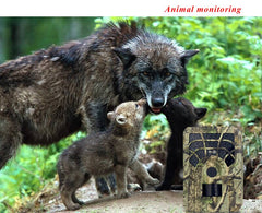 12MP Infrared Night Vision Wildlife Trail Hunting Camera
