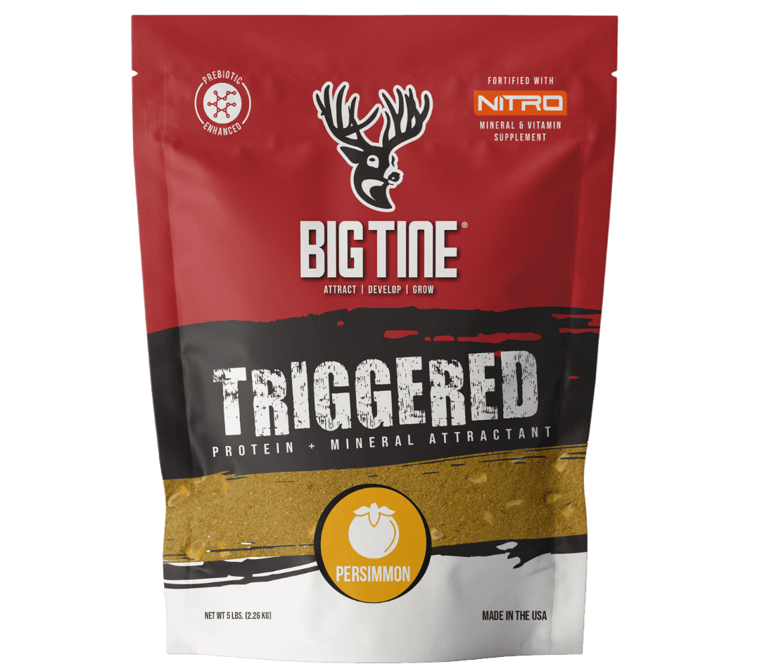 BIG TINE TRIGGERED PERSIMMON