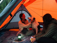 Sky View XL Spacious Outdoor Camping Tent Shelter