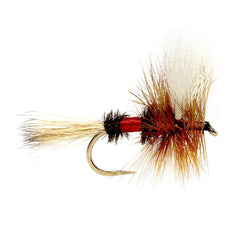 24PCS Trout Flies Assortment With Fly Box