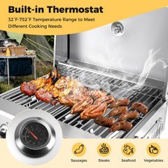 Stainless Steel Propane Grill with Lid for Outdoor Camping Tailgating Picnic Party-Silver